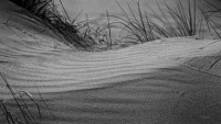 /album/ciel-grain-de-peau-grain-de-sable/a1-2018-09-18-3-cap-carteret-44-copieb-1-1-jpg/